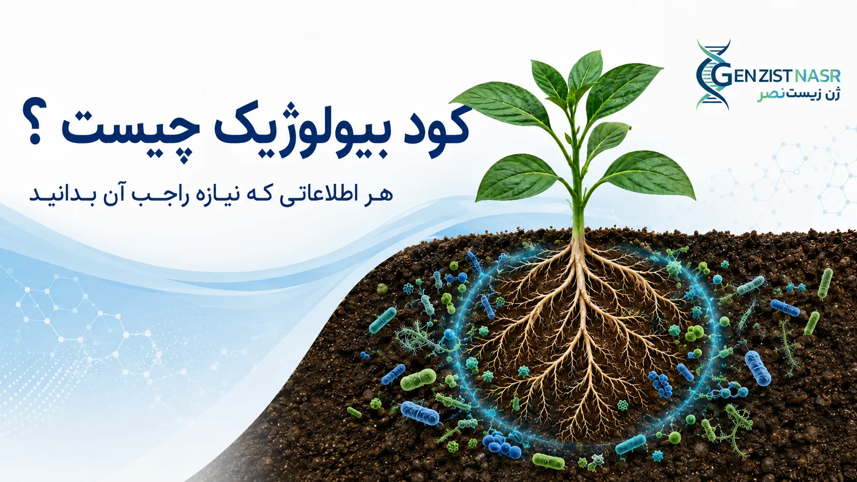 کود بیولوژیک چیست؟ معرفی انواع، مزایا و کاربرد کودهای زیستی